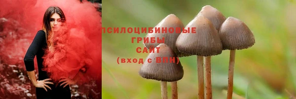 тгк Алексин
