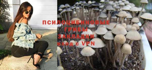 тгк Алексин