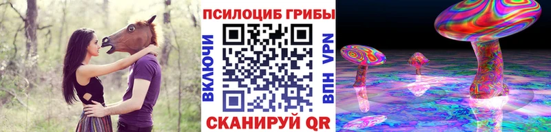 дарнет шоп  MEGA как зайти  Галлюциногенные грибы Psilocybe  Сусуман 